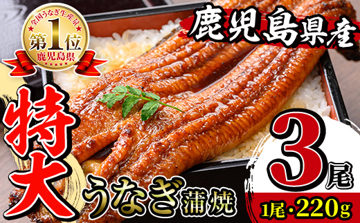 i1078-B ＼特大サイズ／鹿児島県産 うなぎ蒲焼 3尾（約220g×3・計約660g） たれ 山椒付きうなぎ 鰻 ウナギ 特大 特大サイズ 約220g 蒲焼き 国産 鹿児島県産 焼きたて 生産量日本一 真空パック おかず 晩御飯 特別な日 土用の丑の日 【薩摩川内鰻】