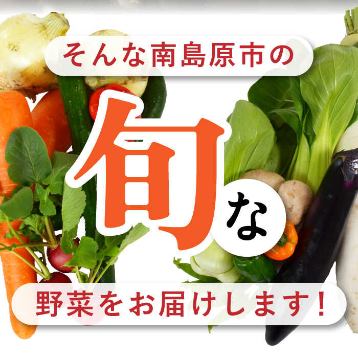 【産地直送】季節の野菜 詰め合わせ 15種類 セット【ふるさと企画】 SBA023_イメージ5