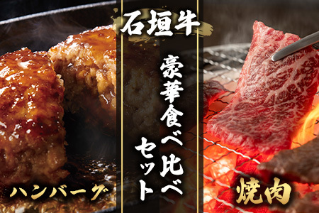 特選石垣牛100%ハンバーグ100g×3個＋特選石垣牛元卸お任せ焼肉180gセット  I-17-1