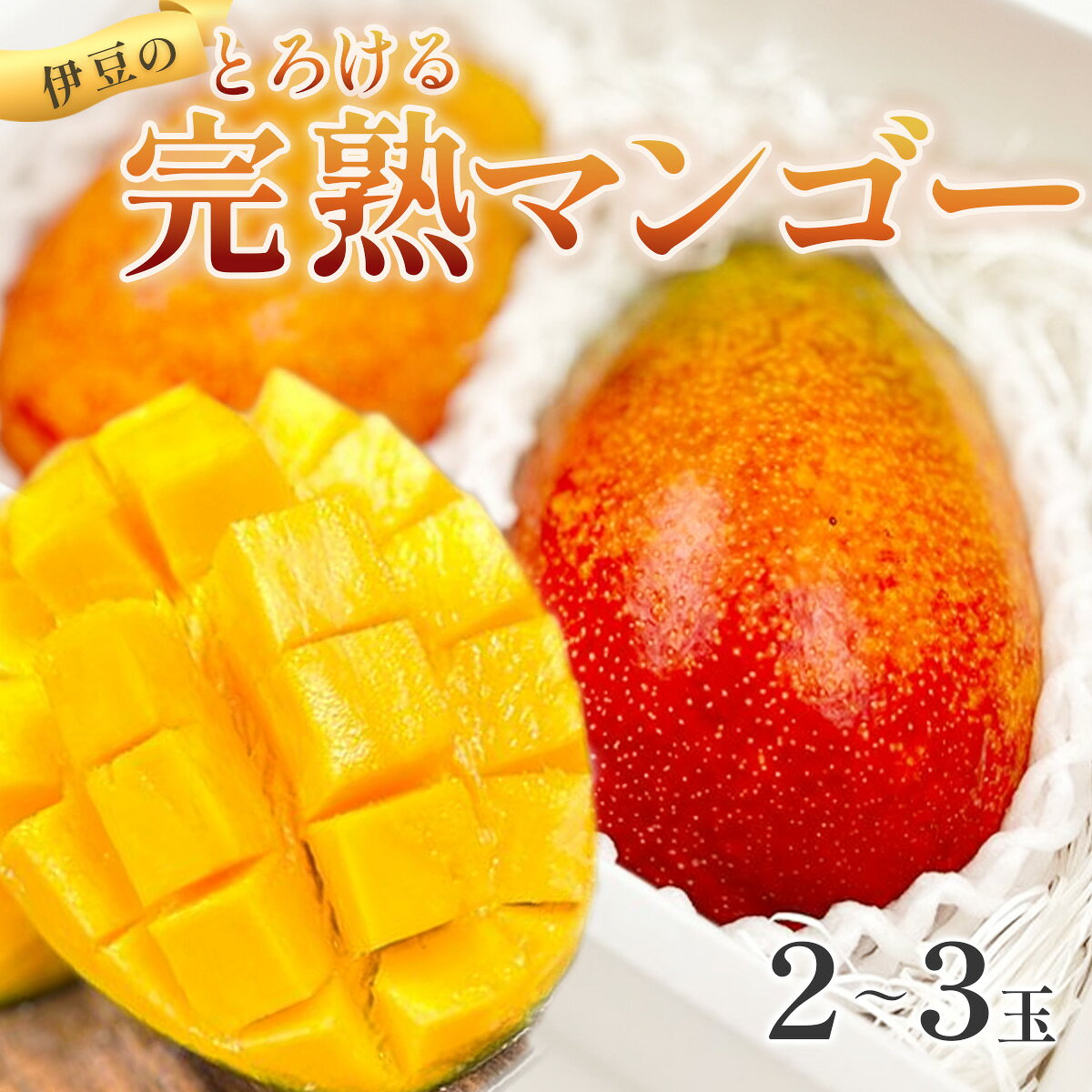 【ふるさと納税】【数量限定】 アーウィン マンゴー 2〜3個 約600〜900g [A-071] 果物 マンゴー 甘い ジューシー お取り寄せ ギフト 贈り物 期間限定 人気 高級 濃厚 芳醇 新鮮 食品 デザート フルーツ 産地直送 おすすめ ご褒美 お祝い ギフト プレゼント 贈答 静岡 伊豆