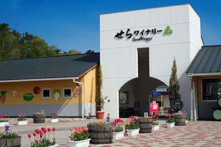 せらワイン 3本セット(720ml×3本) 日本ワイン ワインセット 赤白セット ワイン 赤 白 父の日 A002-03