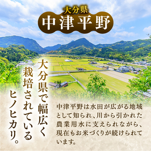 【令和7年産】大分県産 無洗米 20kg ( 5kg × 4袋 ) | お米 精米 単一米 大分県 中津市