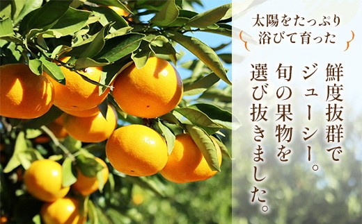 プロが選ぶ旬の果物定期便