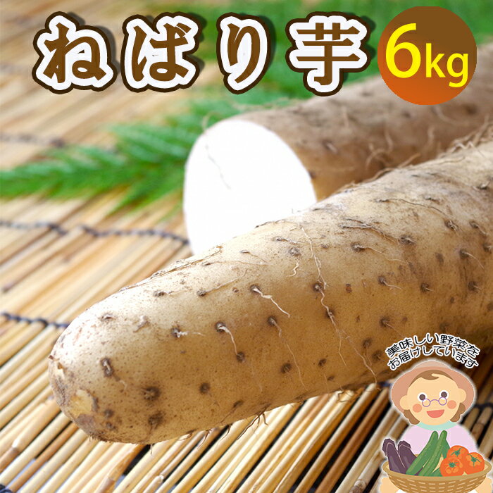 【ふるさと納税】 山芋 長芋 岩手県産 敦子さんが育てた ねばり芋 6kg ／ ねばりいも 野菜 長いも ながいも 山いも やまいも やま芋 農家直送 産地直送 とろろ とろろご飯 ご飯のおとも ご飯のお供 旬 新鮮 期間限定 季節限定 八幡平市産 おすすめ 岩手県 八幡平市 送料無料