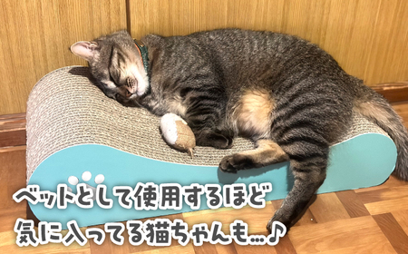 【全5色から選べる！】猫の爪とぎ ソファー 桂川町/株式会社 大村紙工[ADBC004]