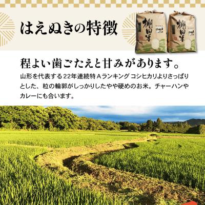 ふるさと納税 米沢市 【先行予約】令和8年産 米沢米 棚田米 はえぬき 10kg ( 5kg×2袋 ) |  | 01