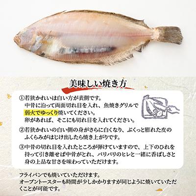 ふるさと納税 小浜市 干し上りのおいしい時を瞬間凍結、天下に轟く皇室献上の若狭かれ、ほんのりとした上品な甘みは若狭物の代表 |  | 03