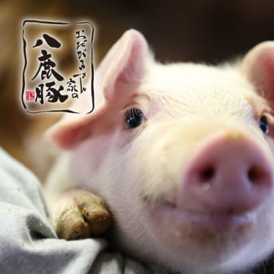 【おだがきさん家の八鹿豚】ソーセージ食べ比べセット【配送不可地域：離島】