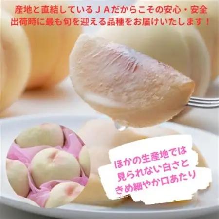 【2026年発送】ご家庭用　おかやまの桃　大玉3玉　約900g【配送不可地域：離島・沖縄県】【1614288】