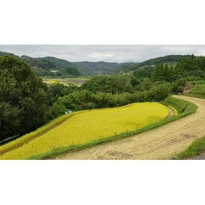 ふるさと納税 由布市 大分県産ひのひかり【ゆふ清流米】　7分つき　5kg |  | 01