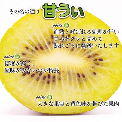 ふるさと納税 福津市 【2026年11〜12月出荷】福岡県ブランドキウイフルーツ「博多甘うぃ」約3.6kg[G2218] |  | 02