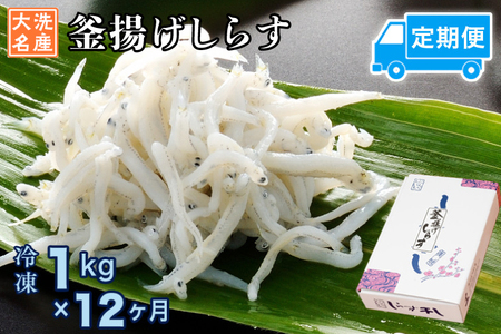 定期便 釜揚げしらす (1kg×12か月) しらす _AG050