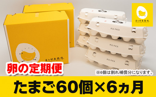 
【定期便】6ヵ月連続お届け　美ら卵養鶏場の卵　各月60個
