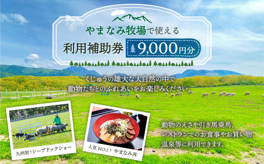 やまなみ牧場 で使える 利用 補助券 (9000円分) 九重 牧場 ギフト券 利用券 動物 チケット