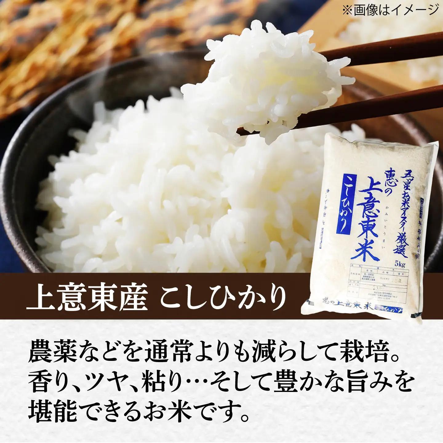 新米 【3回定期便】コシヒカリ 5kg｜新米 [ALBU019]
