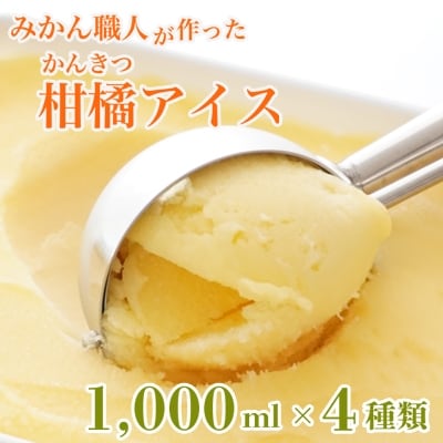 みかん職人が作った柑橘アイス1000ml×4種(夢オレンジ・愛媛みかん・河内晩柑・しらぬい)