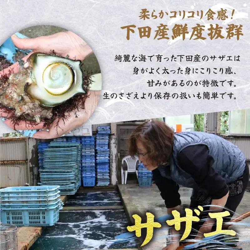 天然 ボイルサザエ 10個 カット伊勢海老 600g 蒸し伊勢海老 600g 急速冷凍