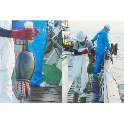 ふるさと納税 島原市 【お手軽 お刺身用】長崎県産 地だこ カット 約1kg |  | 03