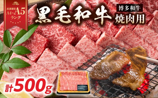 【A4～A5】博多和牛焼肉用 500g 牛肉 牛肉 焼肉黒毛和牛 焼肉 和牛 国産 牛肉 BBQ グルメ 焼肉 バラ 肩ロース モモ A4 A5 福岡県 八女市