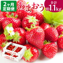 【ふるさと納税】 【2ヶ月定期便】 エコファーマー あまおう (約280g×2P)×2回 計約1120g 【数量限定】 小分け いちご 苺 ストロベリー 果物 フルーツ 福岡県産 福岡 国産 定期便 送料無料