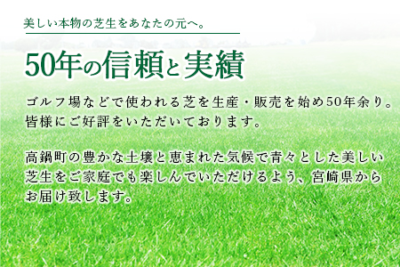 ＜高麗芝 2平方メートル 「冷蔵配送」＞2か月以内に順次出荷【c737_hg_x2】