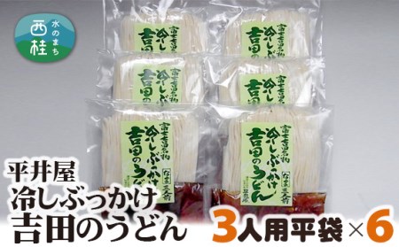 No.251 冷しぶっかけ 吉田のうどん 3人用平袋×6パック / 山梨のうどん【n0251_hir_A】