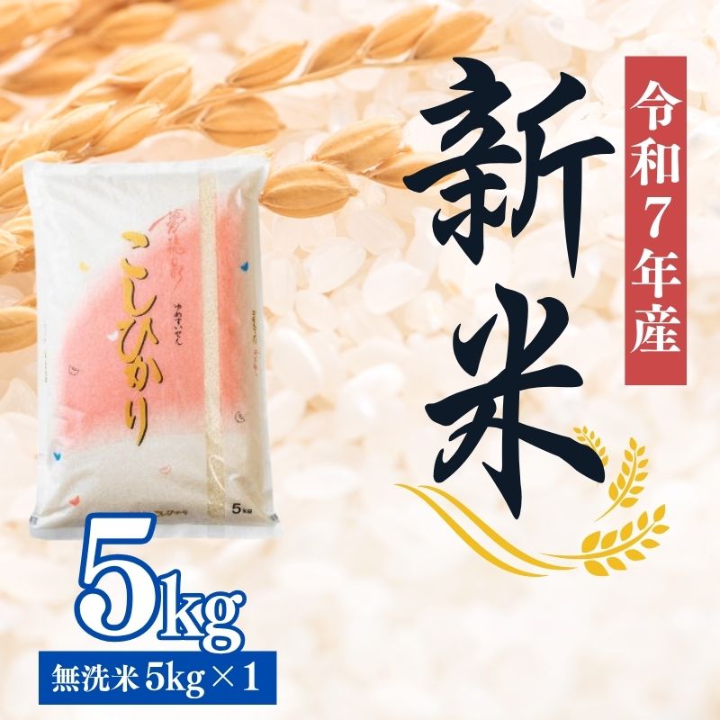 No.2500大文字屋米穀店【令和7年産新米】コシヒカリ精米（無洗米）1等米 5kg