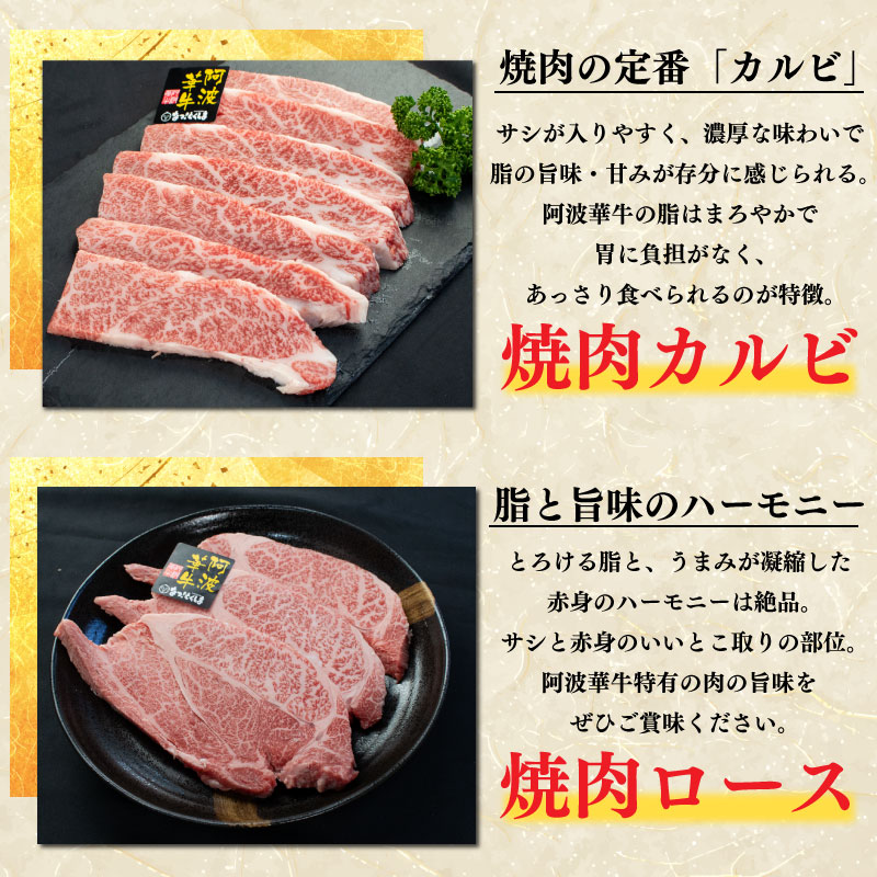 牛肉 福袋 3万円コース 黒毛和牛 A5等級 阿波華牛 和牛 ぎゅうにく 牛 ぎゅう うし 肉 ビーフ 赤身 ロース 肩 モモ すき焼き すきやき しゃぶしゃぶ 焼肉 牛丼 カレー シチュー BBQ 