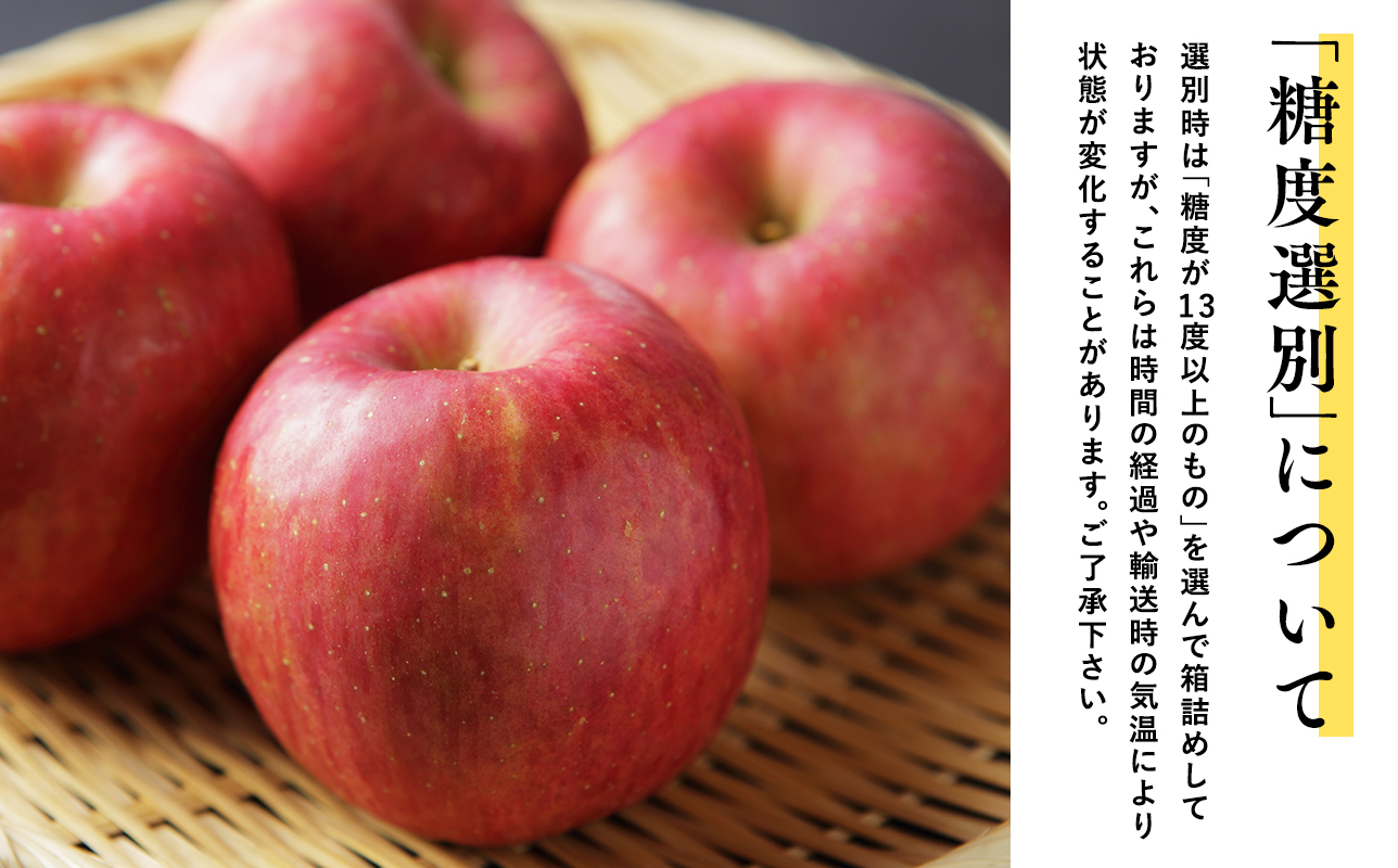 年内 蜜入り 糖度選別サンふじ約5㎏ 【JA津軽みらい・平川市産・青森りんご・12月】