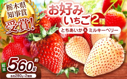 【2027年先行予約】新定番とちあいか＆白いちごミルキーベリー 食べ比べセット 560g