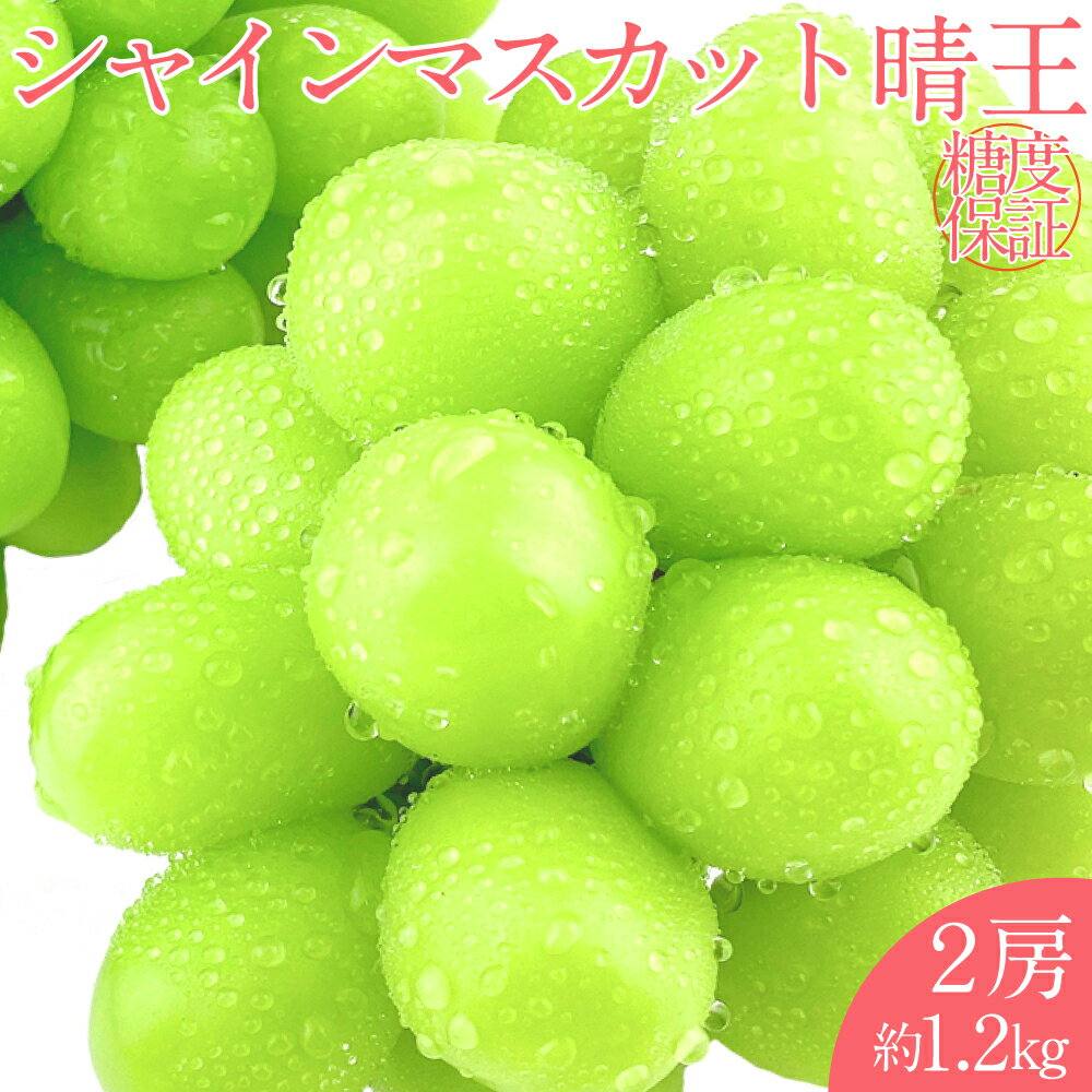 【ふるさと納税】晴王 シャインマスカット晴王 2房 約1.2kg 岡山県産 種無し 皮ごと食べる みずみずしい 甘い フレッシュ 温室栽培 晴れの国 おかやま 果物大国 満天フルーツ ぶどう 葡萄 くだもの 果物 倉敷市 送料無料 【先行予約：2026年7月上旬～8月下旬発送予定】