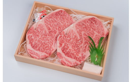 【3回定期便】A5ランク サーロインステーキ 2枚計400g / 長崎県産 長崎和牛 牛肉 和牛 牛 サーロイン ステーキ / 諫早市 / 焼肉おがわ[AHCD007]