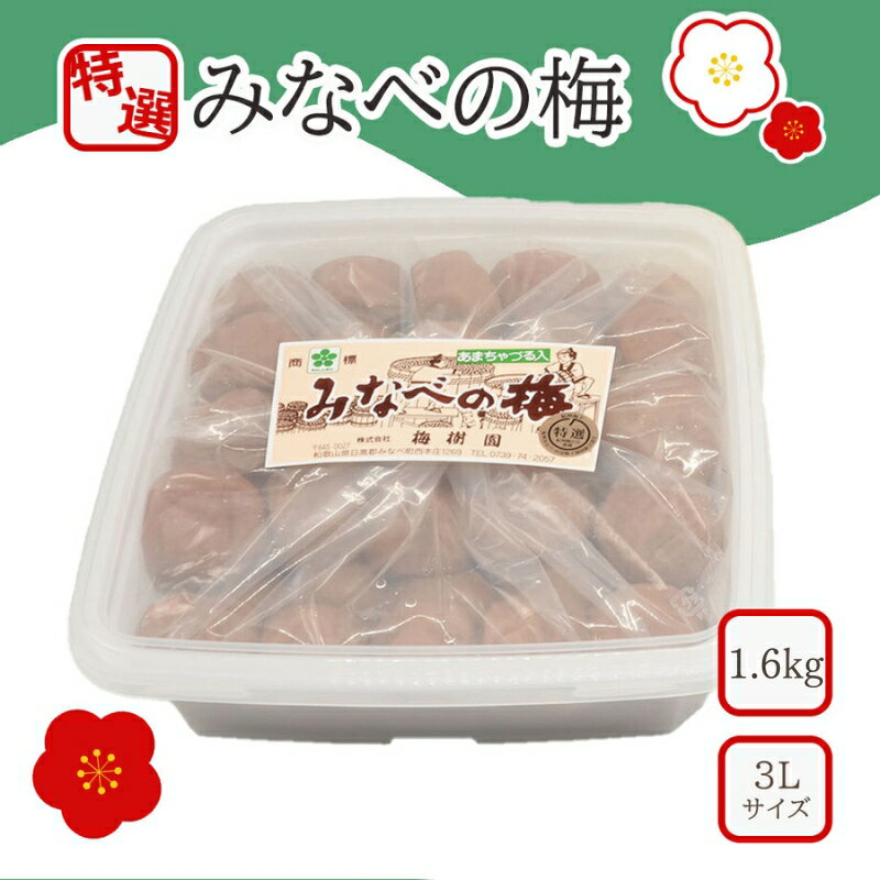 【ふるさと納税】【特選】みなべの梅（あまちゃづる）3L 1.6kg(800g×2個) | 梅干 梅干し うめぼし 紀州 南高梅