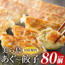 【ふるさと納税】美ら島あぐー餃子 80個セット 20個入×4パック 絶品 こだわり 豚 肉 国産 ごはん おかず お弁当 冷凍 ぎょうざ ギョウザ 小分け BBQ ギョーザ 惣菜 晩酌 ギフト 手作り 生餃子 豚肉 冷凍食品 おつまみ 冷凍餃子 ブランド豚 総菜 中華 焼き餃子 送料無料