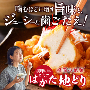 はかた地どり　甘辛たれから揚げ1020g_Ax129