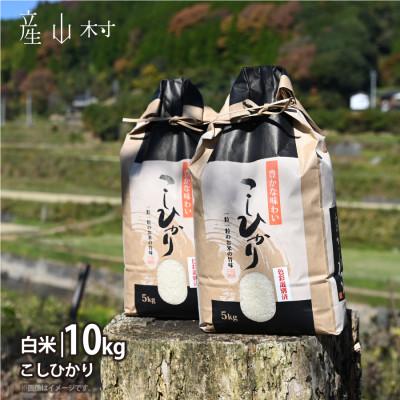 ふるさと納税 産山村 【令和7年産新米】阿蘇うぶやまのコシヒカリ10kg(5kg×2袋)