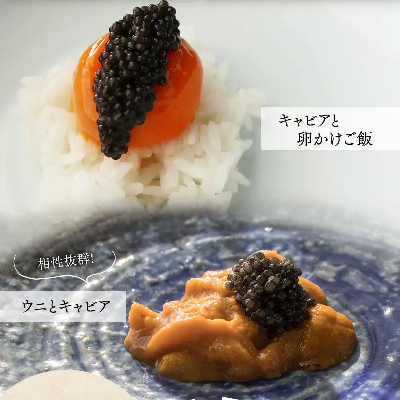 《宮崎市限定 宮崎キャビア1983》祇園さゝ木オリジナル CAVIAR JAPAN SASAKI (20g) 国産 宮崎県産 キャビア 20g 和キャビア オリジナル 日本料理 和食 珍味 ギフト 化