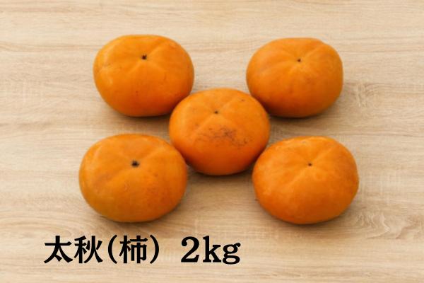 
                  「市川さんの柿」太秋２ｋｇ
                