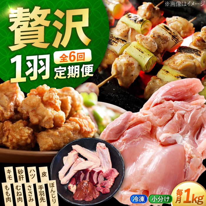 【ふるさと納税】【全6回定期便】鶏肉 冷凍 江田島産地鶏 冷凍 一黒シャモ 一羽 パック 合計約1kg 鶏肉 肉 お肉 にく おにく 国産 広島県産 江田島市/ポークアンドチキン江田島[XAH009] 鶏肉 精肉 とり肉 鳥 もも むね モモ ムネ 若鶏 無添加 地鶏 小分け パック