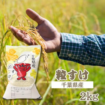 ふるさと納税 勝浦市 千葉県産　粒すけ　精米　2kg×1袋