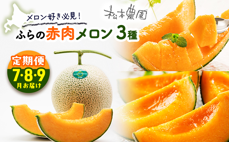 【2026年7～9月連続お届け】メロン 好き必見！ ふらの 赤肉 メロン3種 贅沢 定期便 北海道 富良野市 食べ比べ  (松本農園) メロン フルーツ 果物 新鮮 甘い 贈り物 ギフト 道産 ジューシー おやつ ふらの ブランド 夏 