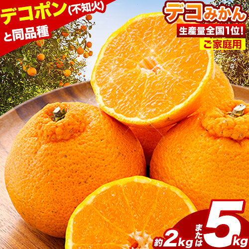 【ふるさと納税】 ＜最短出荷＞ 不知火 デコみかん ( デコポン と同品種 ) ご家庭用 訳あり 熊本県産 ( 荒尾市産含む ) 約2kg (4-10玉前後) or 約5kg (12-24玉前後) 柑橘 《2月上旬-4月上旬頃出荷》 みかん フルーツ 不知火 訳アリ でこみかん 果物 5kg