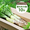 【ふるさと納税】 【2025年先行予約】 葉付き 大根 10本 セット 野菜 10kg程度 北杜市明野産 ダイコン 農薬不使用 有機肥料 新鮮 大根葉 生食 煮物 期間限定 山梨県 北杜市