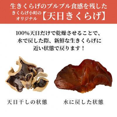 ふるさと納税 北中城村 天日きくらげ【40g×6袋】　きくらげ小町 |  | 01