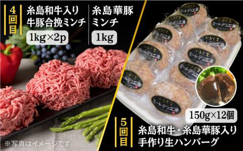 家族でたっぷり！ボリューム満載定期便全7回（月1回） 4人用 糸島ミートデリ工房 [ACA085]