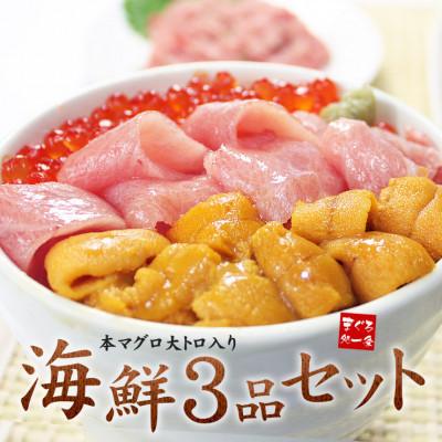 ふるさと納税 いわき市 【毎月定期便】海鮮3品セット(本マグロ大トロ・生ウニ・イクラ醤油漬け)全3回