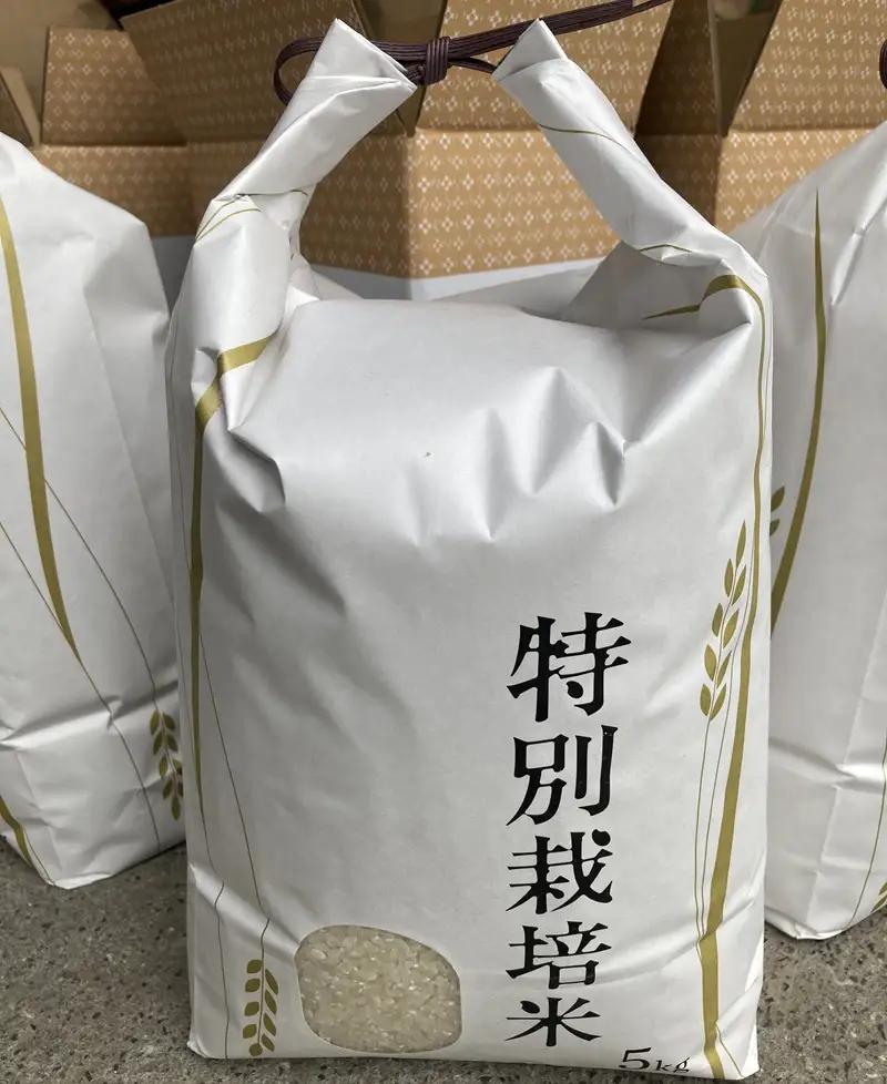 お米 令和7年産 5kg ヒノヒカリ 特別栽培米  先行予約  【2025年11月以降発送】 精米 米 こめ コメ 白米 ごはん ライス 愛媛 伊予市｜C149