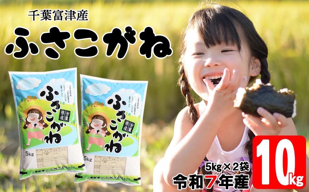 
                  令和7年 千葉富津産「ふさこがね」10kg（5kg×2袋）精米　米 精米 令和7年産 ふさこがね 10kg 大粒 もっちり 精米したその日に発送 白米 ごはん 米 ライス おにぎり 太巻き寿司 米店 2025年 千葉県 富津市 かじや米店
                