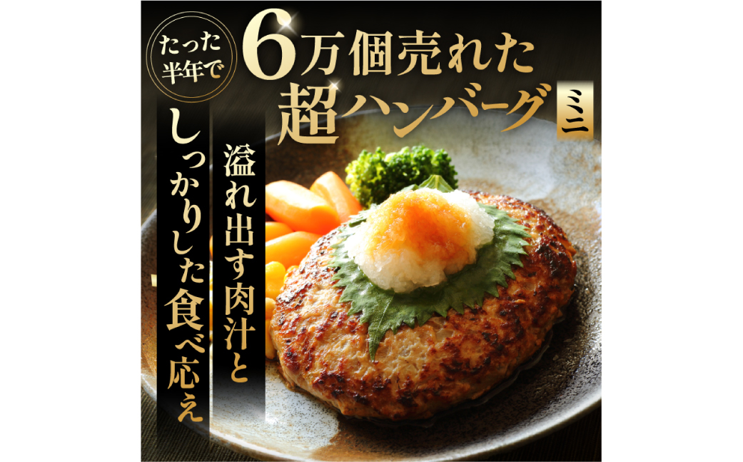 超ハンバーグミニ　3個　0110-017【 牛肉 飛騨牛 黒毛和牛 A5ランク 焼くだけ 簡単 おかず お弁当 おつまみ 】