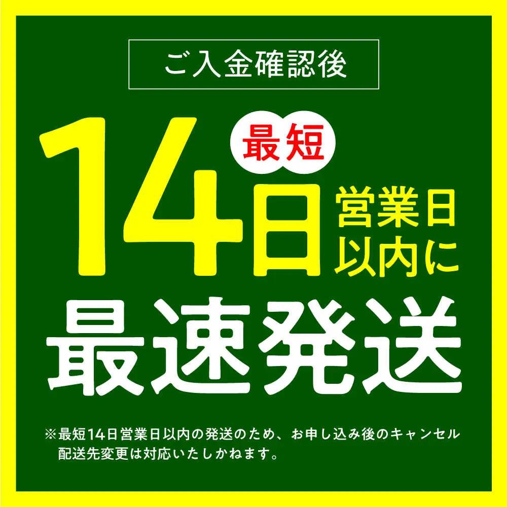 無洗米 令和7年産 夢つくし 5kg ABCO033 無洗